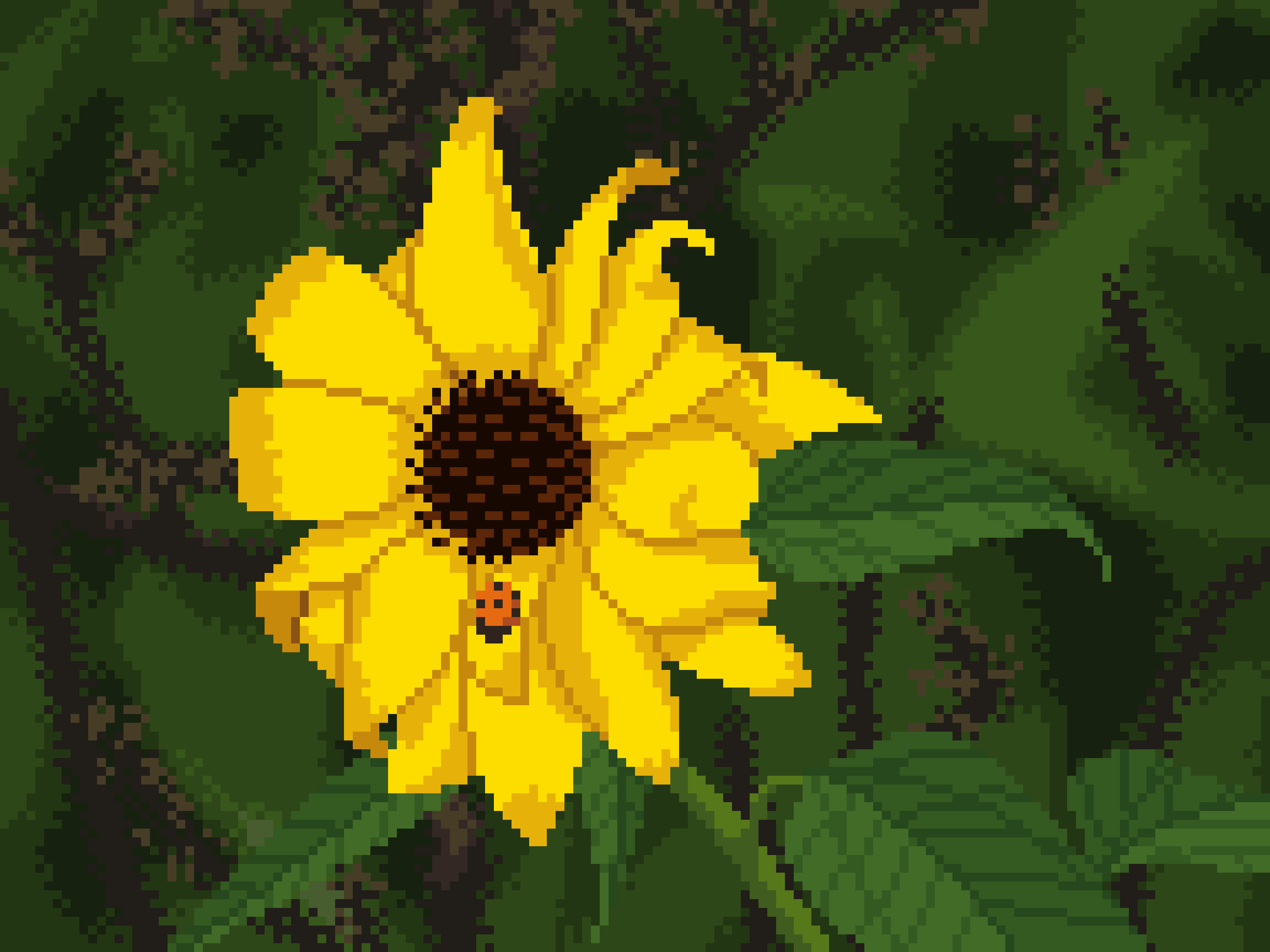 A vibrant yellow flower with lots of long and narrow, sometimes curly petals. The background is out-of-focus greenery that’s a bit darker and really lets the yellow shine. A small red ladybug with black dots is sitting on one of the petals.